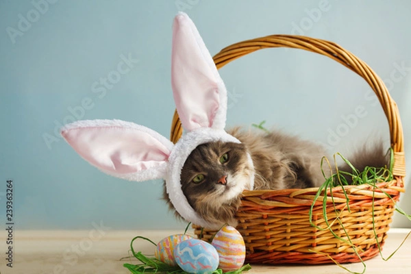 Obraz Gray fluffy cat with bunny ears in easter basket with easter eggs