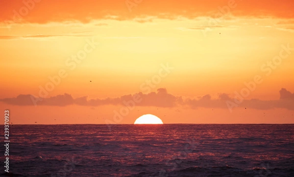 Obraz Beautiful Seascape Sunset