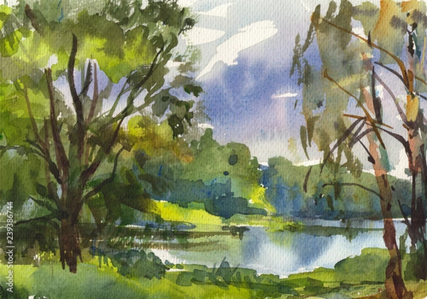 Obraz lake in the summer forest 