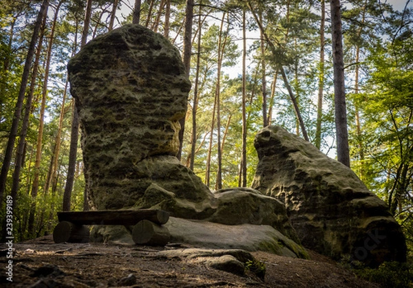 Obraz natural reservation czech