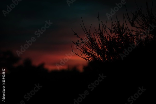 Fototapeta sunset in prague