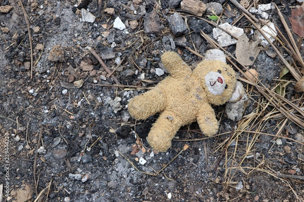 Fototapeta Old dirty teddy bear neglected on the ground soil. End of childhood.
