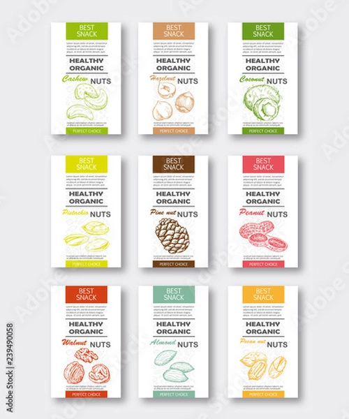 Obraz Healthy organic nuts vertical labels set. Vector packaging design.