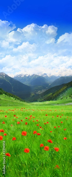 Obraz green field in mountain