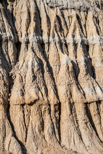 Fototapeta tree, bark, texture, wood, nature, brown, pattern, trunk, old, abstract, plant, forest, rough, natural, surface, oak, detail, pine, wooden, textured, closeup, cortex, backgrounds, material, woods