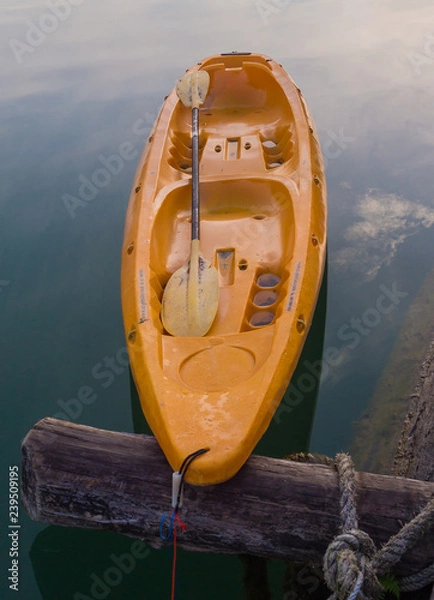 Obraz Colorful kayaks