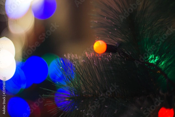 Obraz Christmas tree in the lights