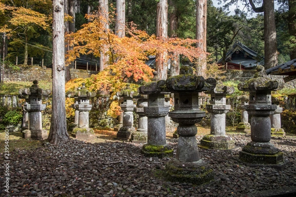 Fototapeta tempio in Giappone