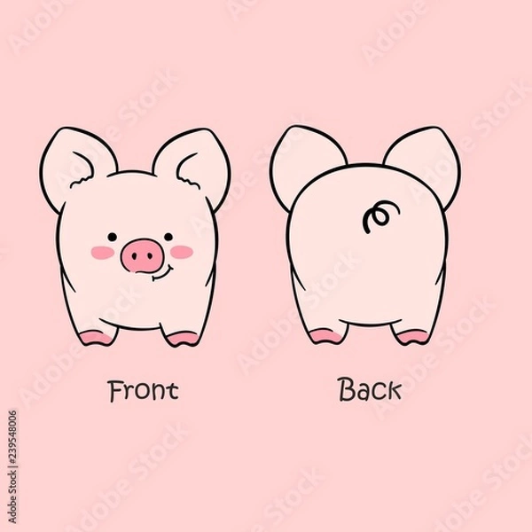 Obraz Vector illustration of cartoon cute pink pig front view and back view drawn with a tablet, cute smiling character isolated on empty background with big ears