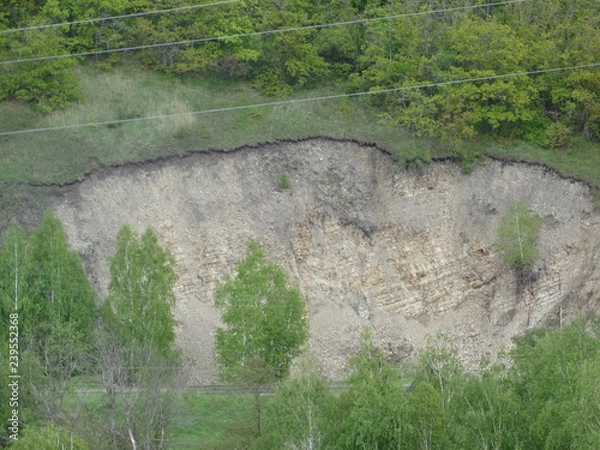 Obraz moss on the wall