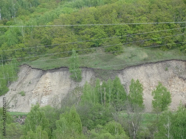 Obraz river in the forest