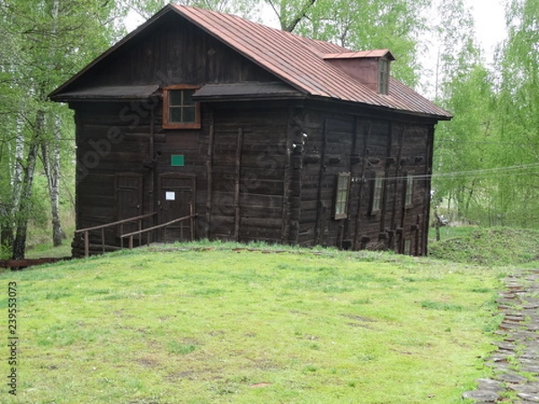 Obraz old house in forest