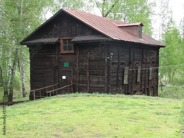 Obraz old house in forest