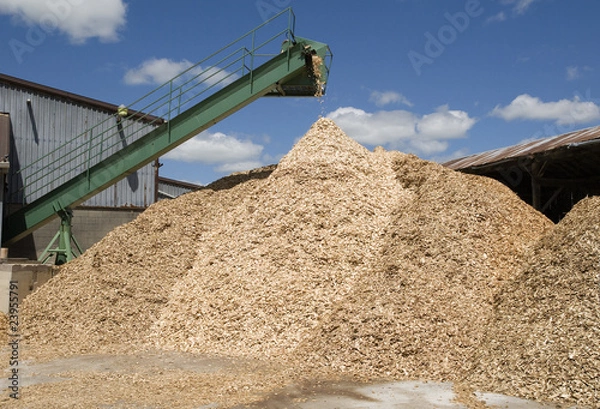 Obraz conveyor poring sawdust