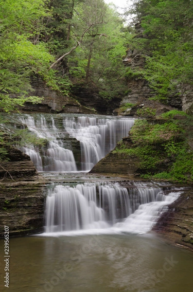 Fototapeta waterfall in the forest