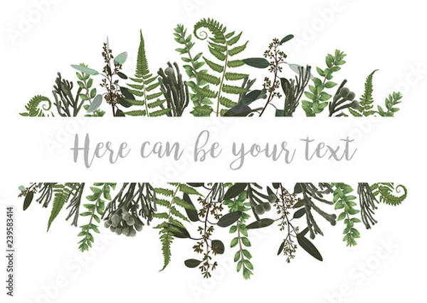 Obraz Ilustracja wektorowa ramy z zielonymi liśćmi paproci leśnej, bukszpanu i eukaliptusa, brunia. Wzór na zaproszenia ślubne, kartki okolicznościowe, banery, certyfikaty