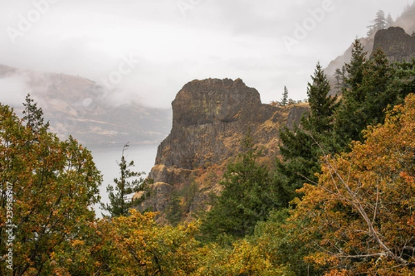 Obraz Misty Hood River fall hike