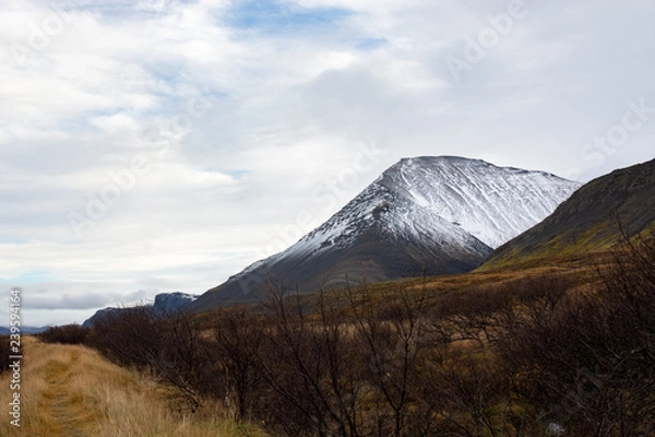 Obraz 魅力ある雪山