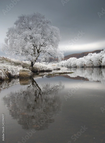 Obraz mroźny wykres