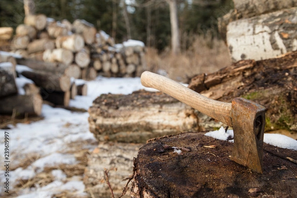 Fototapeta axe with logs behind