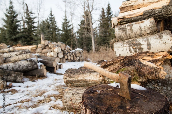 Obraz Axe and firewood