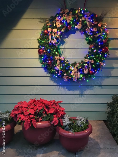 Obraz Decorative Christmas wreath.