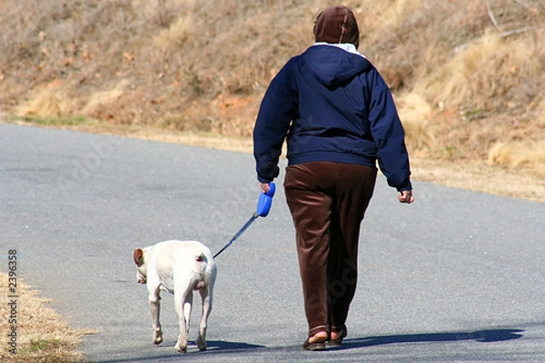 Obraz dog walking