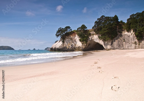 Obraz Cathedral Cove on the Coromandel Penninsula, New Zealand.