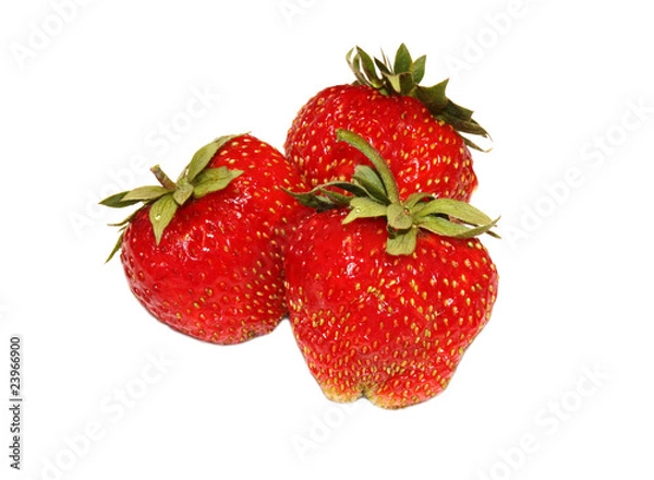 Obraz Ягоды клубники на белом фоне, виктория