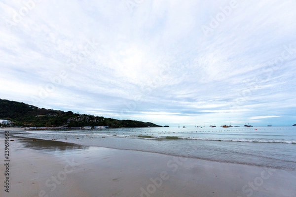 Fototapeta 海辺　湿地