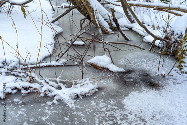 Obraz ice on the pond