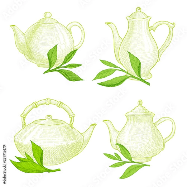 Obraz Teapots and tea green leaves set