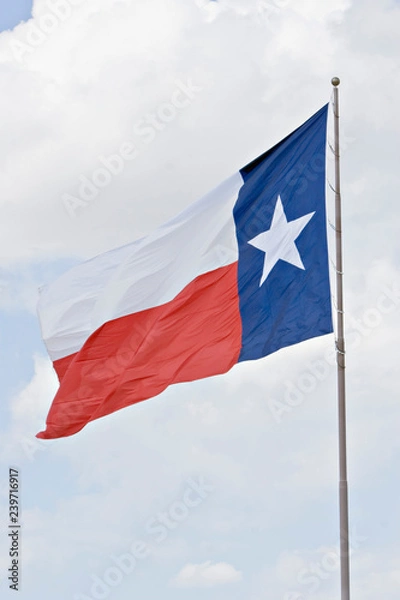 Obraz Texas flag