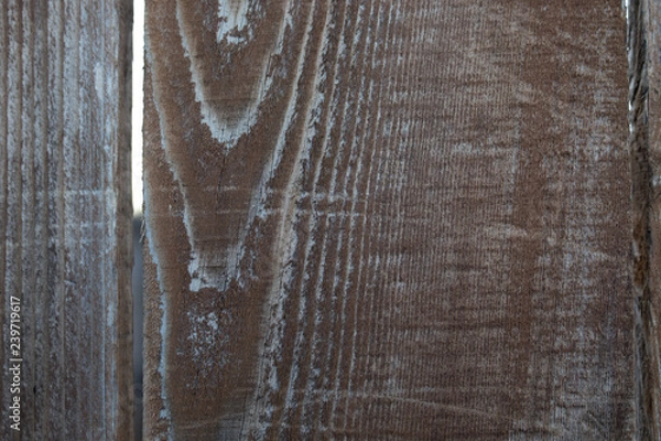 Obraz old wood texture