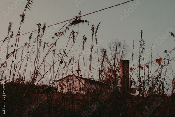 Obraz old farm in the fall