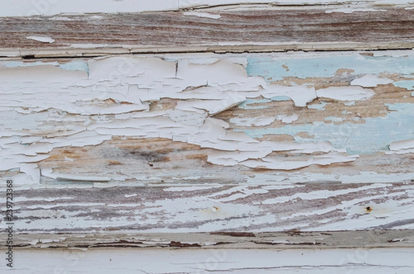 Obraz tinta a saltar