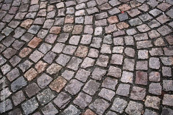 Fototapeta Weg aus Pflastersteinen
