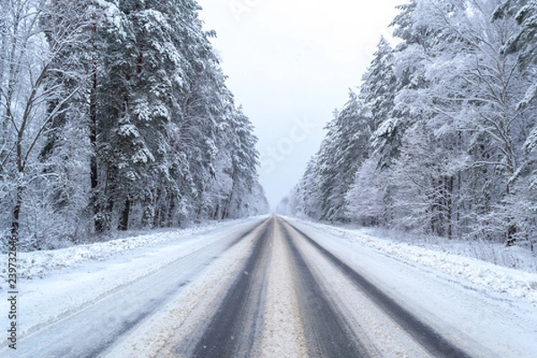 Fototapeta winter day in the forest, trees covered with snow, the sky is visible, snow-covered asphalt road goes deep into the forest