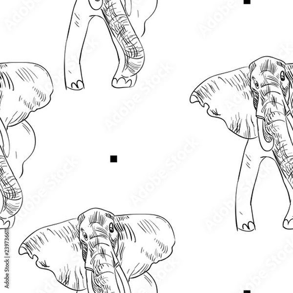 Fototapeta Elephant vector seamless pattern. 