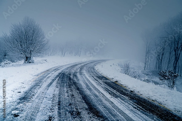 Fototapeta road in winter