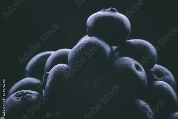 Obraz  Blueberry blueberries are a healthy food with a green leaf in black or white background