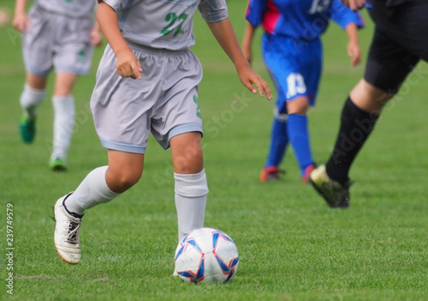 Fototapeta サッカー　フットボール