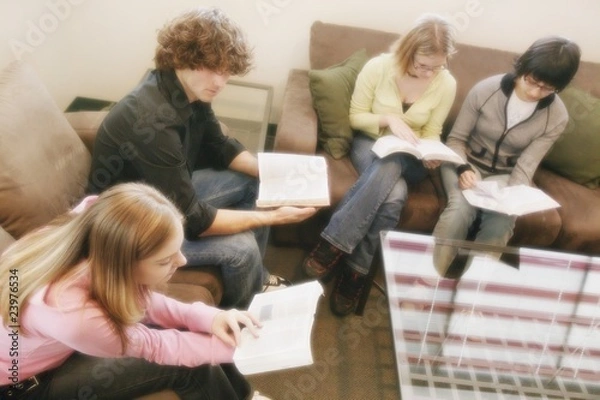 Fototapeta Study Group