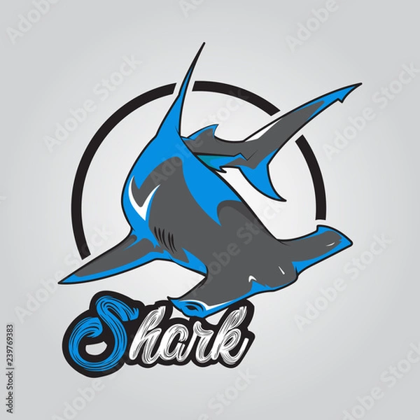Obraz vector shark logo