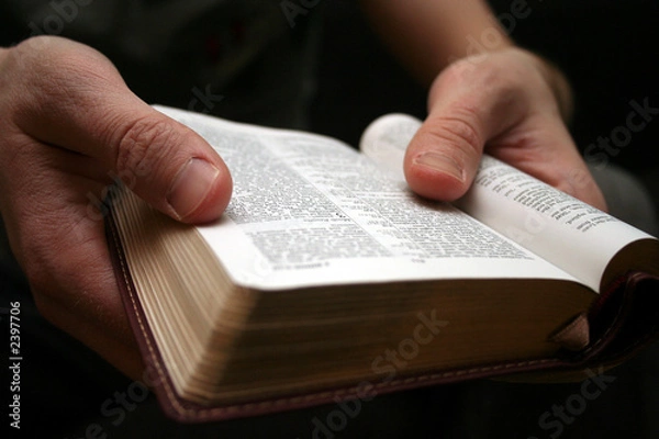 Obraz young man reading small bible