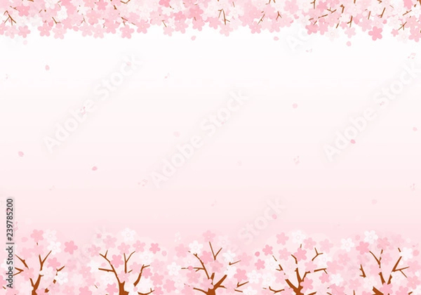 Fototapeta 桜の音符　背景　イラスト