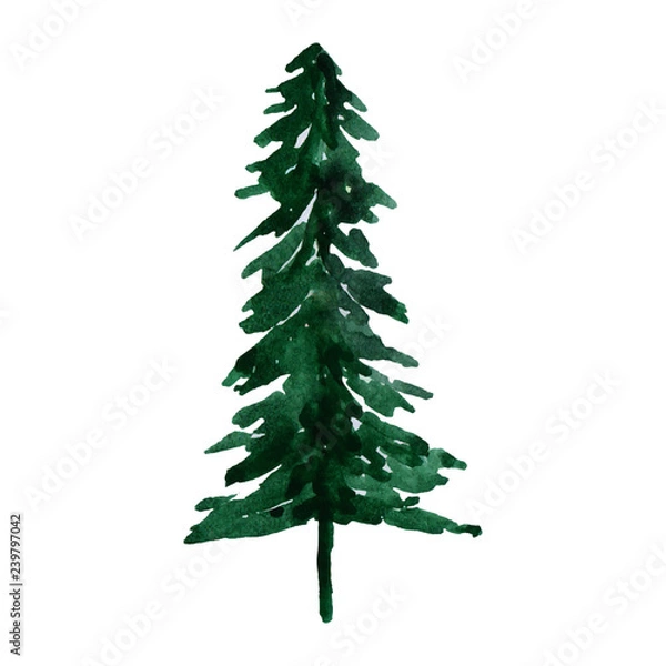 Fototapeta watercolor christmas tree