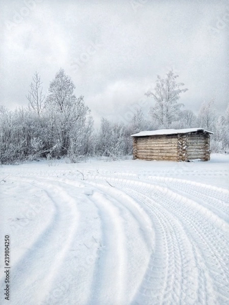Obraz Русская зима
