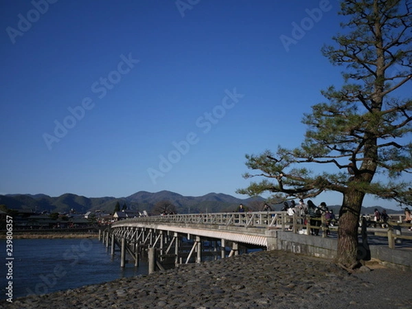 Fototapeta 渡月橋