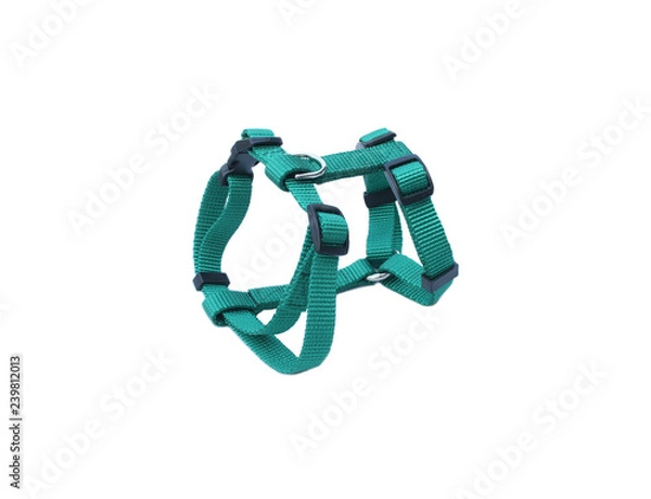 Obraz Pet harness isolated on white background.  Pet accessories concept